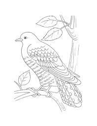 related image bird coloring pages coloring pages bird coloring