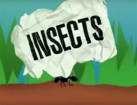 insects disney wiki fandom
