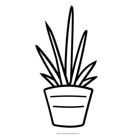 plant coloring pages gif