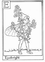Coloring Pages Flower Alphabet Fairy Fairies Printable Kids Letter Numbers Choose Board sketch template