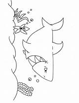 Shark Coloring Pages Printable Sharks Kidzone Posters Tail Color Activities Getdrawings Drawing Popular Ws sketch template