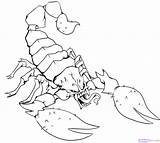 Scorpion Tattoo Coloring Pages Draw Drawing Step Scorpions Printable Chinook Tattoos Color Kids Scorpio Dragoart Clipart Getcolorings Attractive Print Popular sketch template