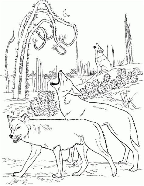 wolf coloring pages  print