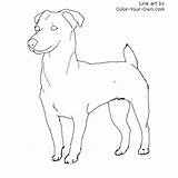 Jack Russell Terrier Coloring Pages Dog Color Drawing Line Standing Own Colouring Drawings Terriers Template Dogs Russells Stand Pencil Choose sketch template