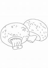 Mushroom Vegetable sketch template
