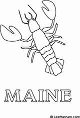 Maine Lobster Coloring Poster Pages sketch template