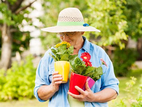 Beneficios De La Jardinería Para Las Personas Mayores Mimocare