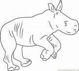 Baby Rhino Coloring Coloringpages101 Color sketch template