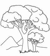 Coloring Tree Pages Little sketch template