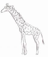 Gif Gifer Giraffe Animated sketch template