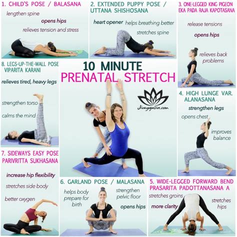 incredible pregnancy yoga routines references fit
