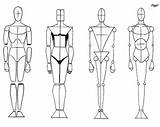 Humano Boceto Anatomia Bocetos Humana Cuerpos Geometricas Human Geométricas Estructuras Basico sketch template