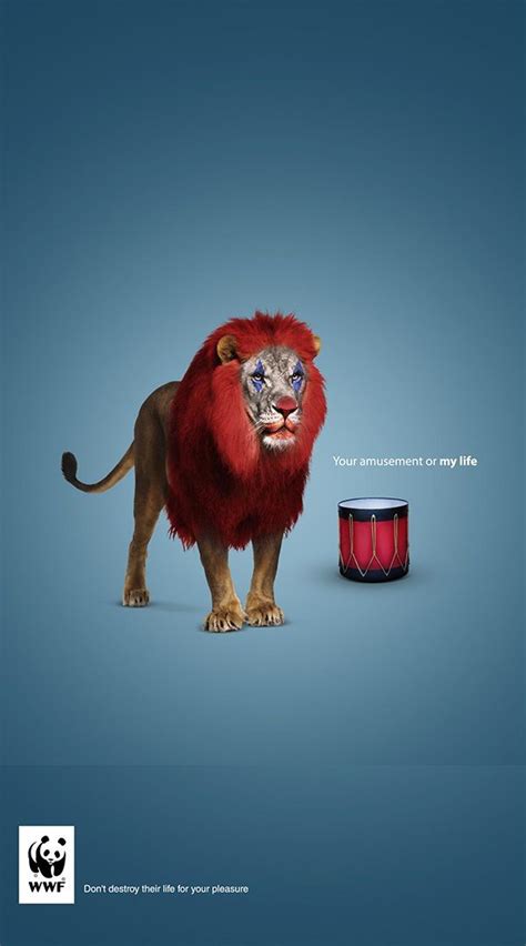 hilarious  clever print advertisements ads advertising