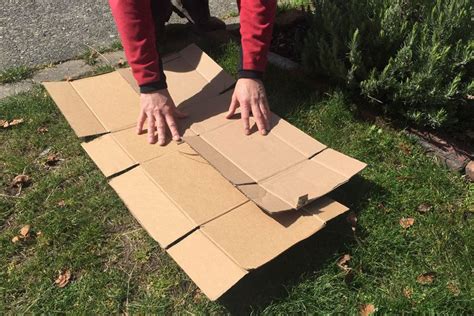 layer  cardboard     weed barrier  caveats