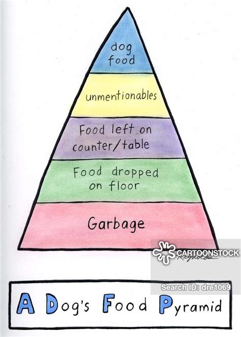 food pyramid cartoons and comics funny pictures from