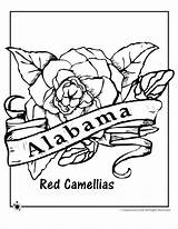 Coloring Alabama State Pages Flower Ohio Pennsylvania Drawing Bird Hex Dutch Signs Printable Getcolorings Printables Getdrawings Popular sketch template