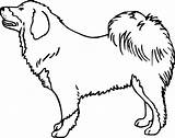 Tibetan Mastiff Clipart Dog Cliparts Drawings Clip Library Line Clipground sketch template