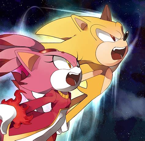 Super Sonic And Burning Blaze Sonic The Hedgehog Know