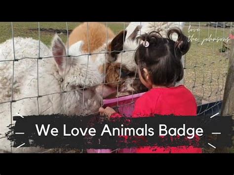 love animals badge toddler believes  hey duggee badges  bubbles youtube