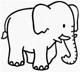 Olifant Kleurplaat Kleurplaten Topkleurplaat sketch template