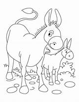 Donkey Coloring Pages Foal Baby Drawing Kids Printable Color Getcolorings Getdrawings Books sketch template