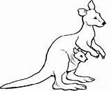 Kangaroo Clipartmag sketch template