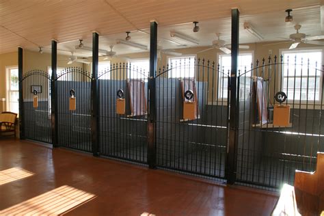 indoor dog kennel ideas examples  forms