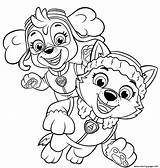 Everest Skye Mighty Pups Printable Chiots Joyeux Colouring Patrouille sketch template