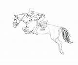 Jumping Horse Coloring Pages Show Drawing Draw Sketch Girl Riding Horses Jump Google Sketches Search Drawings Pencil Ride Laugh Live sketch template