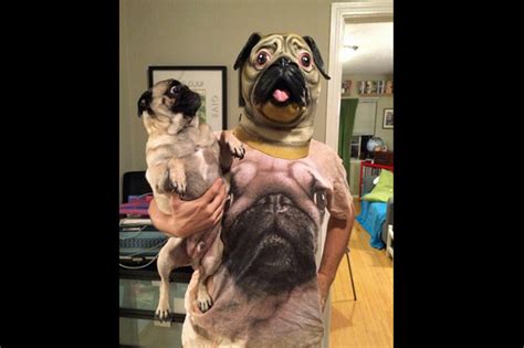 The Man Dressed As A Giant Pug Holding A Pug Explains Why He Pranked