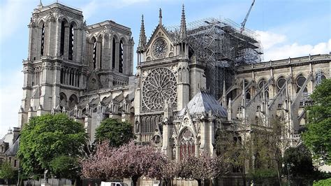 catedral de notre dame  datos  deberias saber