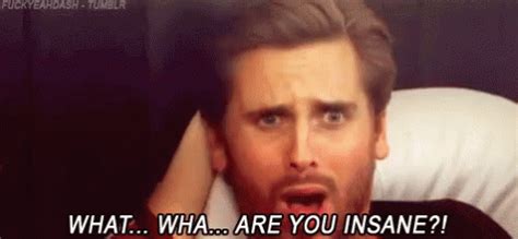 whatwhatare  insane gif scottdisick areyouinsane confused