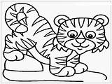 Tiger Coloring Mewarnai Harimau Gambar Lion Lucu Tigers Kartun Anak Mewarnaigambar Wallpapertip Semua Lembar Shark Getcolorings sketch template