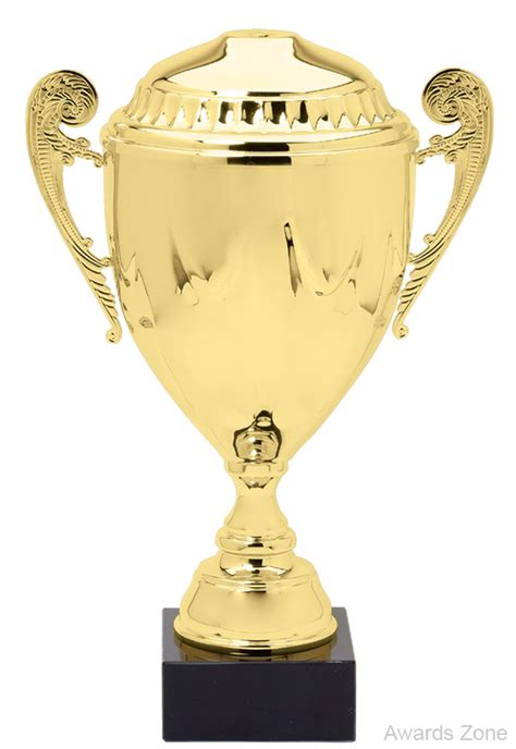 foot tall gold championship cup