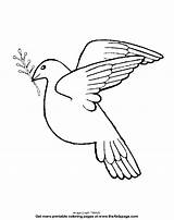 Dove Coloring Pages Kids Colouring Popular Library Clipart sketch template