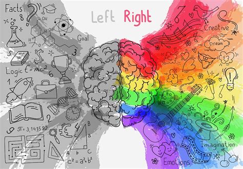 how balancing the left right brain hemispheres can improve your life