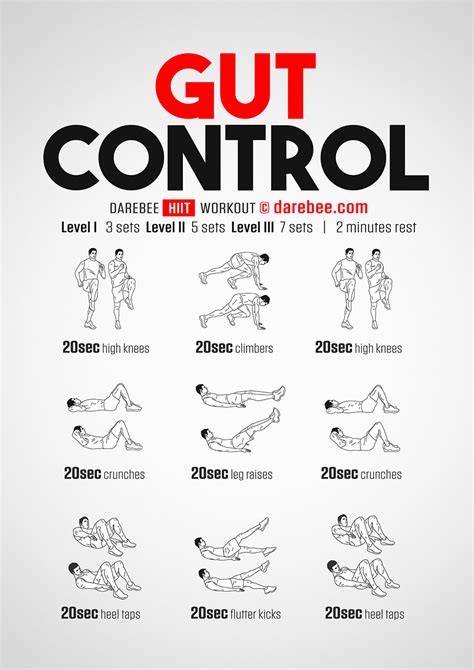 Gut Control Workout In 2020 Full Body Workout Routine