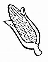 Corn Coloring Cob Drawing Pages Indian Stalk Stalks Field Getdrawings Fall Autumn Popular Sheets Shape sketch template