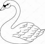 Swan Coloring Pages Printable Drawing Bird Lake Stock Vector Illustration Outline Colouring Template Color Patterns Google Clipartmag Crafts Easy Painting sketch template