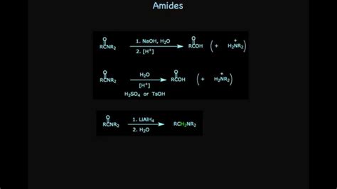 amides  carboxylic acids youtube