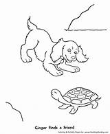 Coloring Pages Turtle Pet Pets Dog Different Activity Printable Ginger Honkingdonkey Cat Print Sheets Kids sketch template