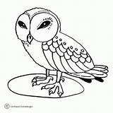 Kolorowanki Eule Eulen Hantu Mewarnai Burung Sowy Kleine Owls Sowa Dzieci Weise Ausdrucken Ptaki Malvorlagen Wydrukowania Kartun sketch template