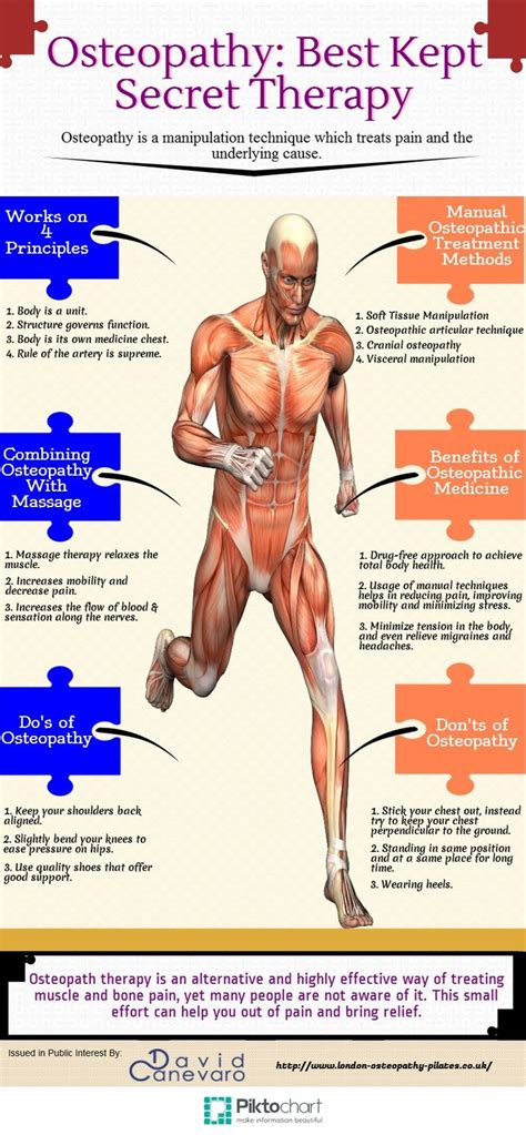 osteopathy best kept secret therapy infographic osteopathy therapy