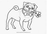Pug Coloring Pages Printable Pugs Kids Color Baby Dog Sheets Cute Colouring Cartoon Puppy Print Visit Coloringhome Search Puppies Drawing sketch template