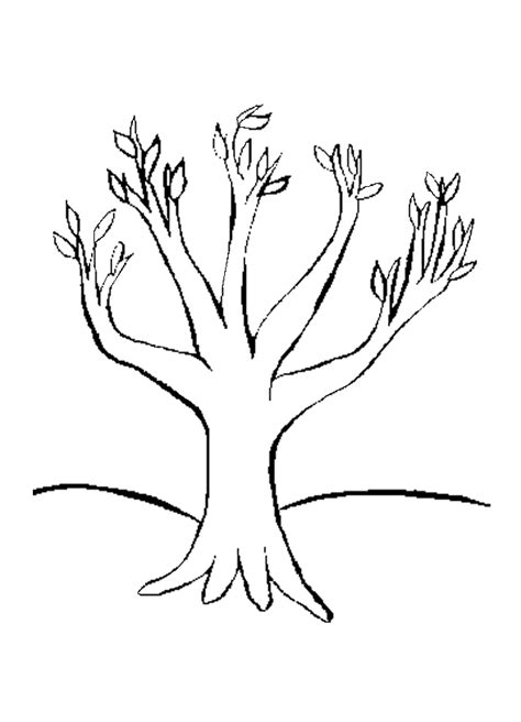 trees  leaves coloring pages coloring home