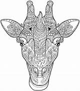 Coloring Pages Animal Animals Adult Adults Giraffe Printable Mandala Advanced Head Color Colouring Henna Books Sheets Getcolorings Sheet Book Print sketch template
