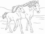 Colorat Heste Cal Tegninger Cheval Poulain Chevaux Planse Desene Coloriages Animale Hest 2165 Kleurplaat Domestice Farvelægge Pferde Paard Cavallo Fise sketch template