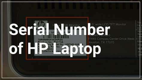 serial number  hp laptop crazy picks