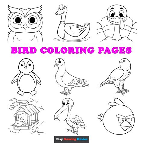 printable bird coloring pages  kids