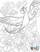 Perle Rio2 Colorear Aras Mommysbusy Parrot sketch template